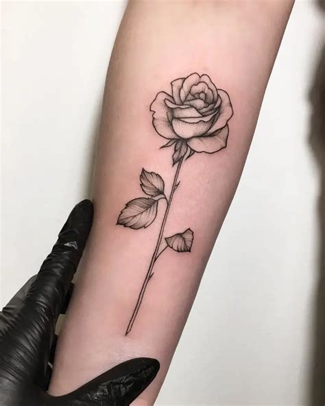 Rosa tatuagem feminina  Tatuagens Dos Sonhos